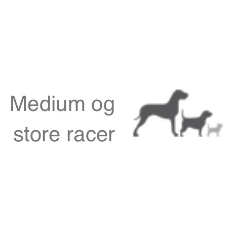 Natura Diet Lam og Ris Hundefoder 3 kg - Sundt og nærende til små og mellemstore hunde